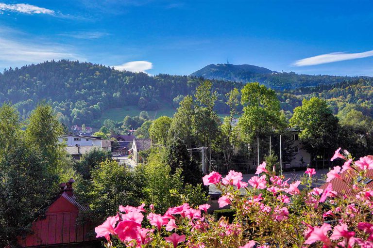 Domek w centrum - apartament B